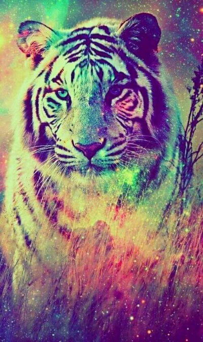 Лиза Аверина