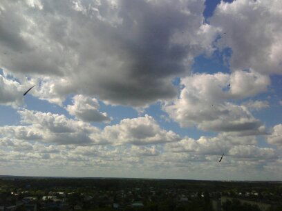 Елена Труфанова