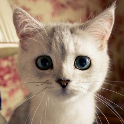 Маша Зубова