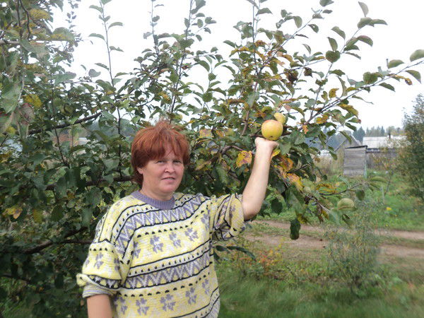 Татьяна Новоселова