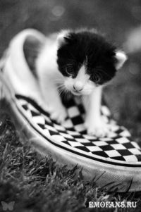 Сашенька Названова