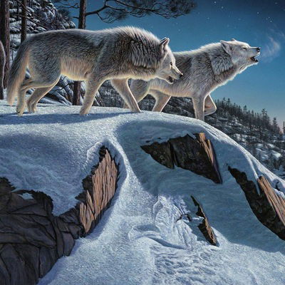 Настя Молоткова