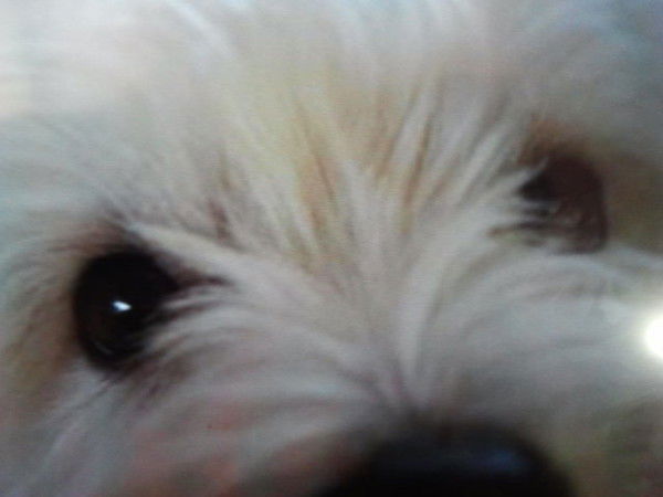 Ника Пономарева