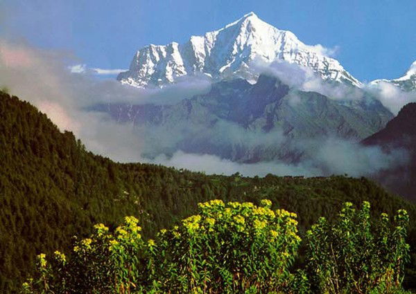 Центр Занятости Жамбылского Района