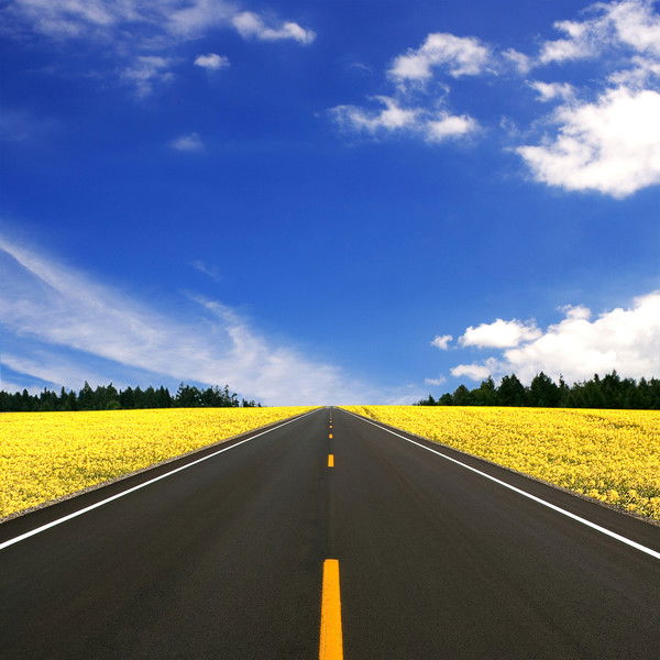 Тоо Жол Салу