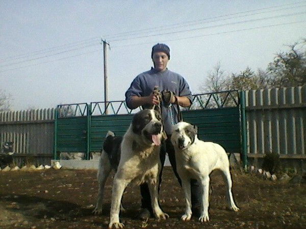 Андрей Кузьменко