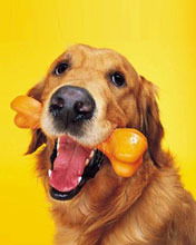 Дрогба Дедье