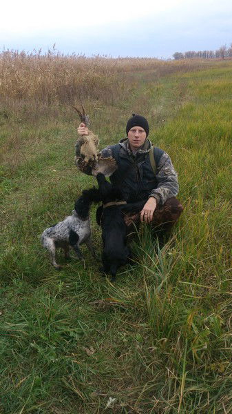 Андрей Рыбальченко