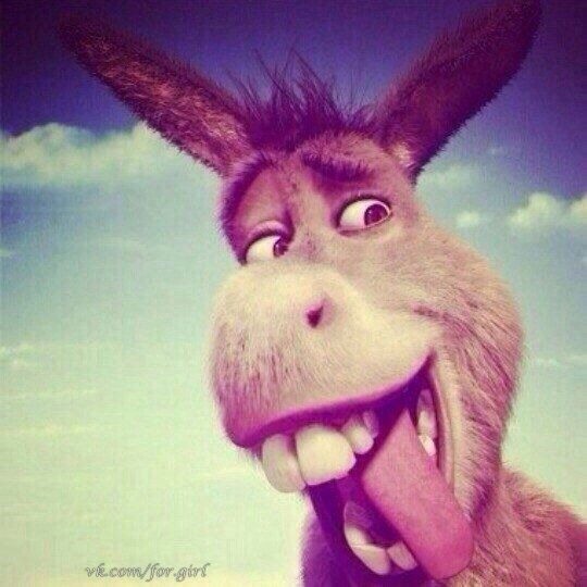 Алина Петенко