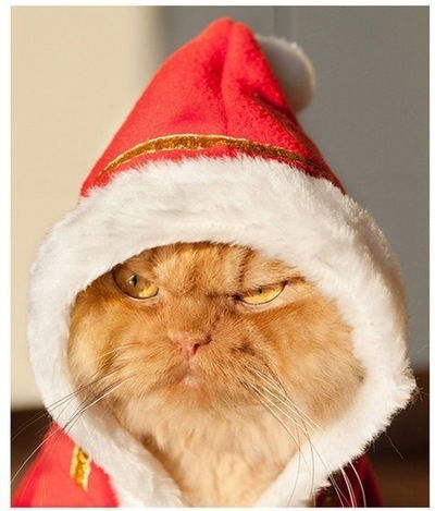 Алексей Соловьёв