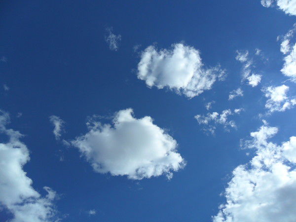 Алена Кухарец