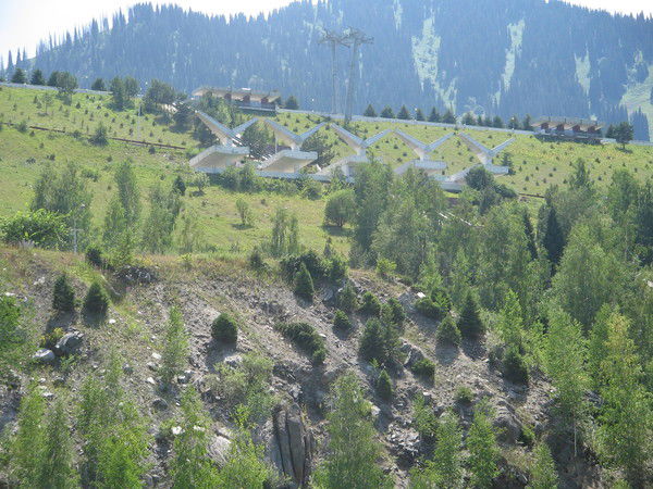 Елена Сладкова