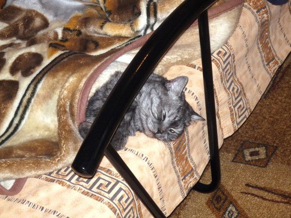 Анна Горбачёва