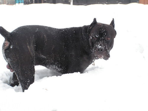 Юрий Иванов