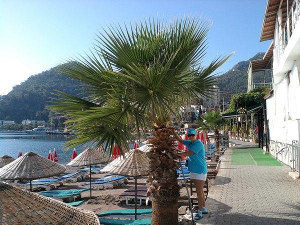 Алина Сулимова