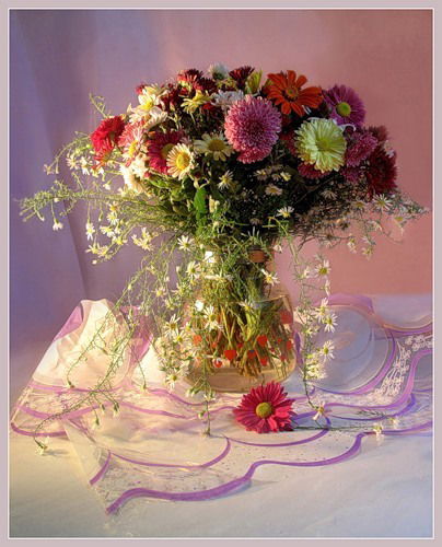 Алла Щекина