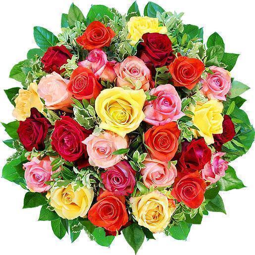 Надежда Чепрага