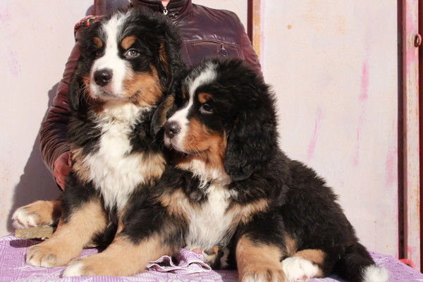 Татьяна Неизвестно