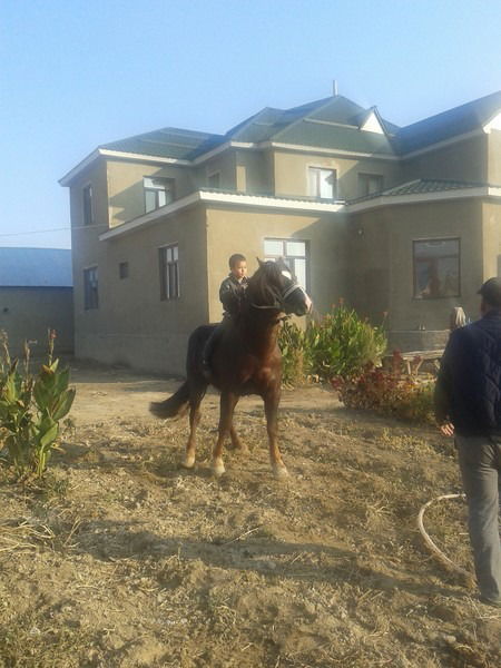 Айгерим Данеева