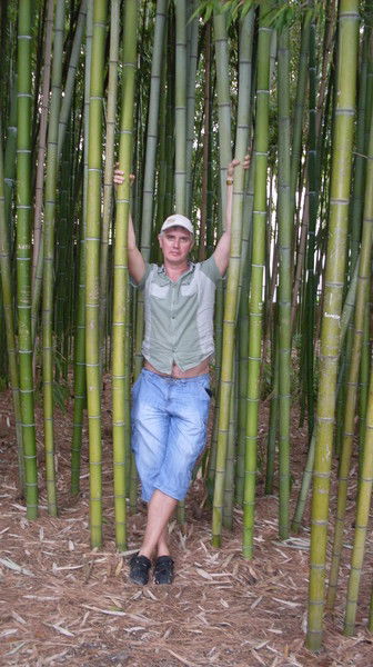 Алексей Аброськин