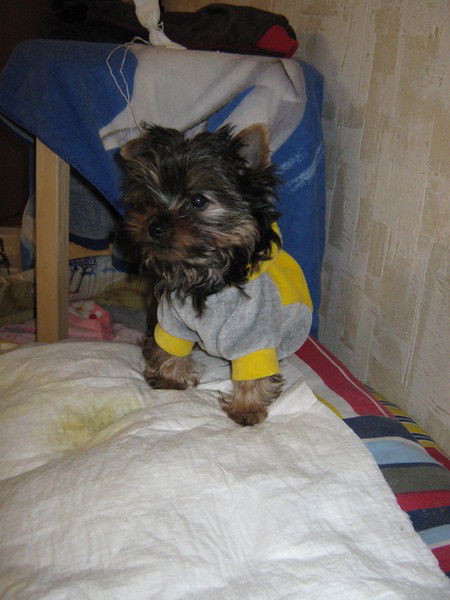 Евгений _______