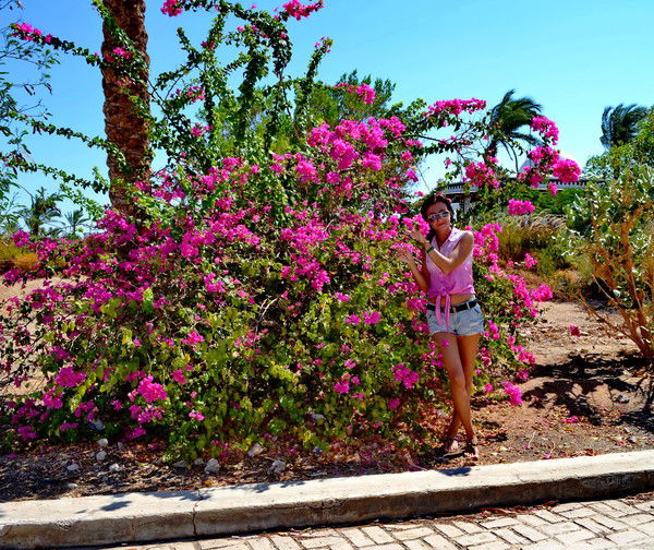 Елена Ледяева