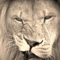 Алексей Сатаров