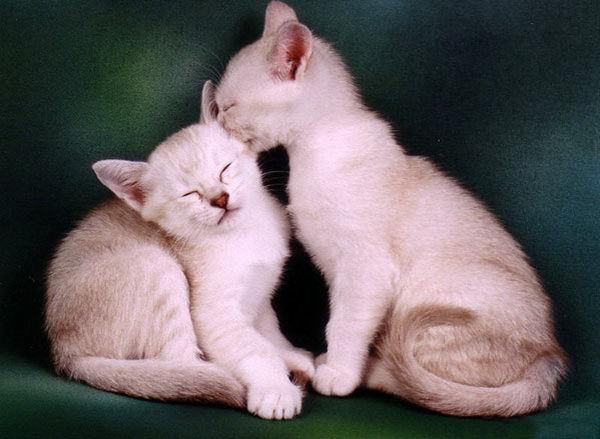 Кристина Гаврилова