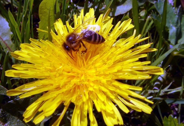 Лариса Бубякина