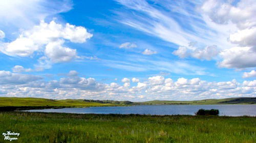 Маржан Дауытбекова