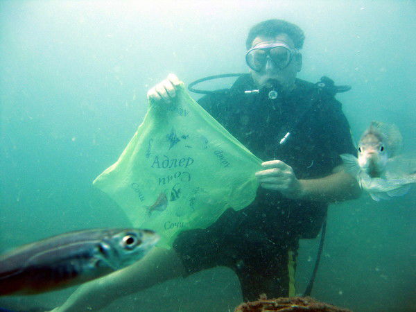 Патрон Патрон