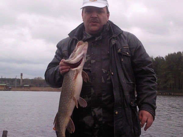 Владимир Булыга