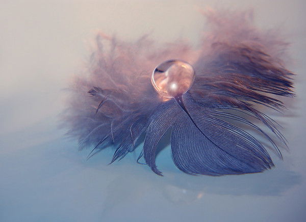 Анна Бурмагина