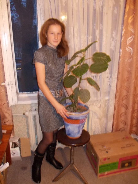 Дарья Сероштанова