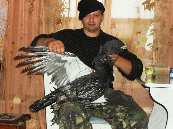 Виталий Овчинников