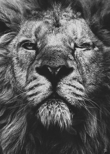 Сулейман Джульфаев