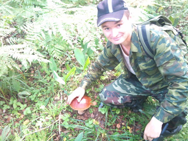 Александр Шапелевич