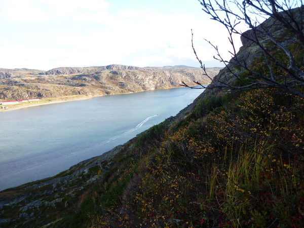 Владимир Колесников