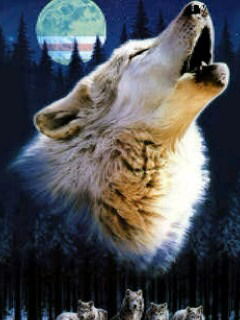 Альбина Ахметова