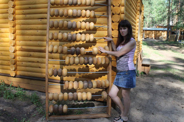 Елена Чекменёва