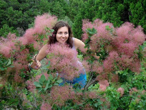 Светлана Вдовина