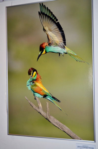 Валентина ***