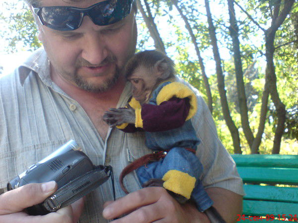 Александр Перелыгин