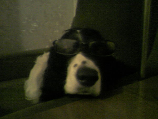 Денис Романов