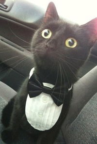 Димон Гостевских