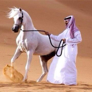 Дидар Зданов