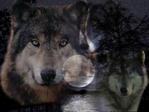 Евгений Дмитриев