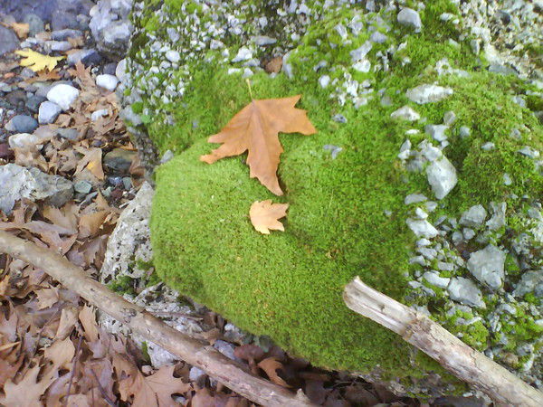 Татьяна Татьяна