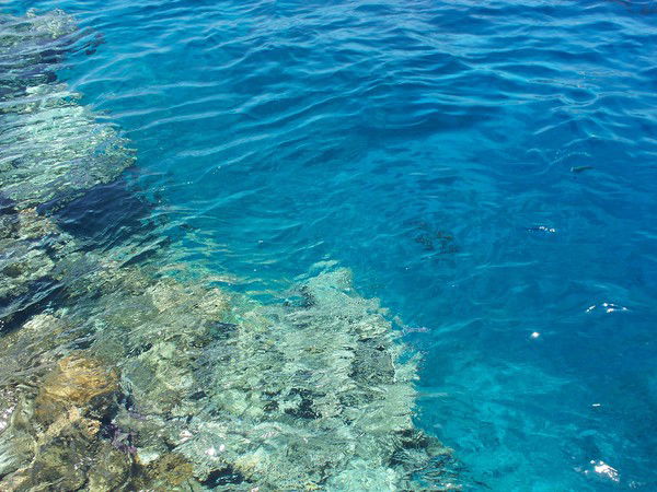 Вера Мартынова