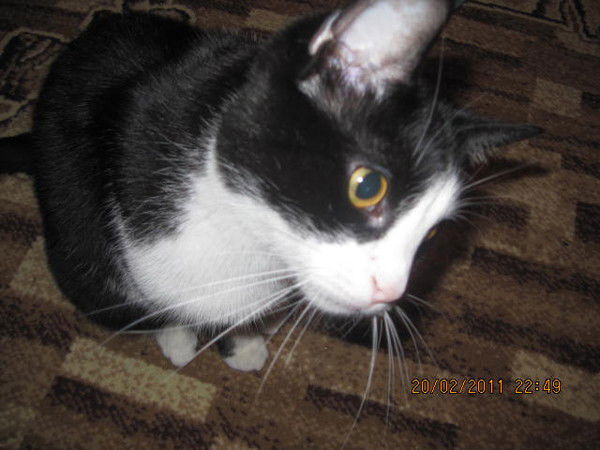 Эдуард Гира